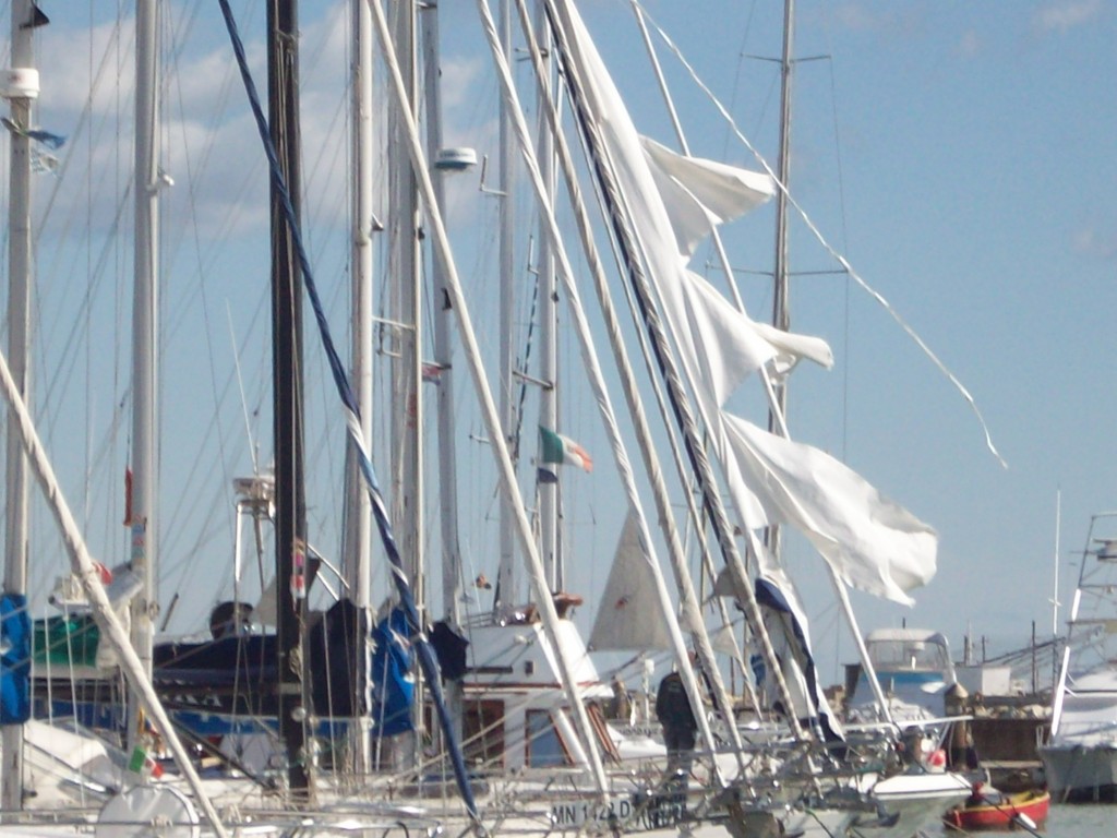 100_1569
